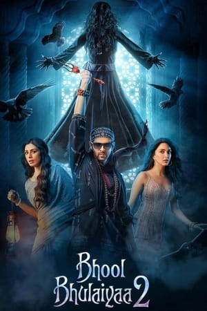 Bhool Bhulaiyaa 2 2022 Hindi Movie –