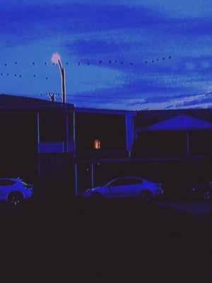 Break (2019) Hindi Dual Audio [900MB]