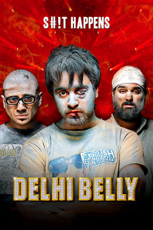 Delhi Belly 2011 Full Movie [300MB]
