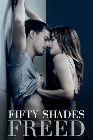 Fifty Shades Freed (2018) Hindi Dual Audio [1GB]