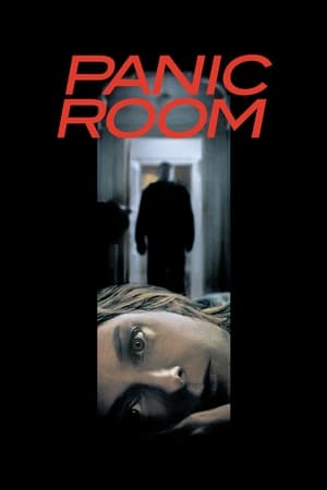 Panic Room (2002) Hindi Dual Audio 350MB