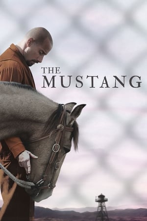The Mustang (2019) Hindi Dual Audio 300MB